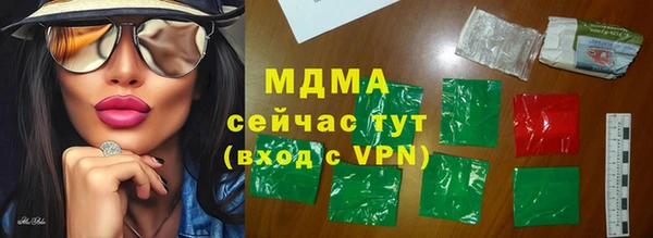 стаф Ельня