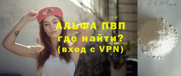 стаф Ельня
