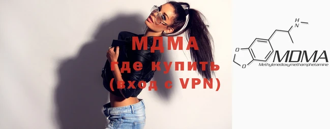 стаф Ельня