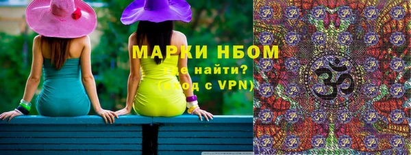 стаф Ельня