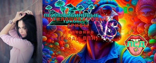 круглые Дмитровск