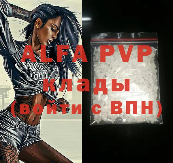 стаф Ельня