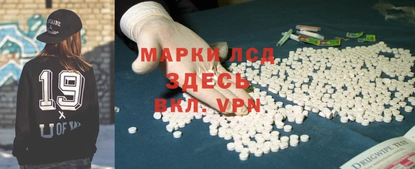 стаф Ельня
